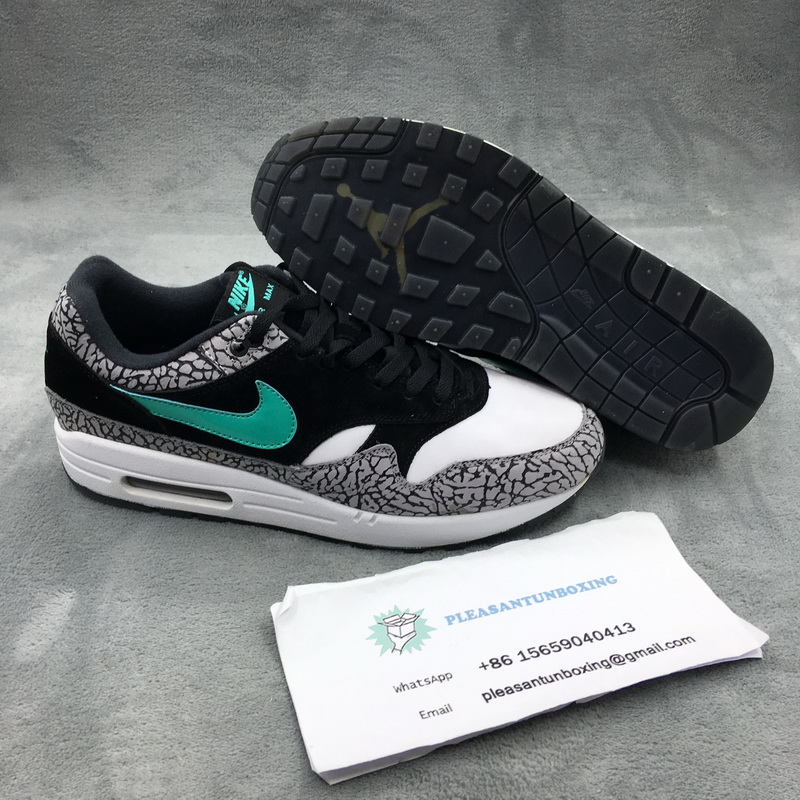 Authentic Air Jordan 3 x air max 1 “Atmos”